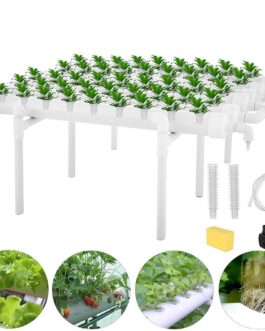 36/54 Holes Hydroponic Piping Site Grow Kit Deep Water Culture Planting Box Gardening System Nursery Pot Hydroponic Rack