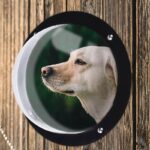 Dog Fence Window For Pet – Durable Acrylic Dog Dome For Backyard Fence, Dog House, Reduced Barking, Necessary Hardware And Instr