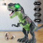 Remote Control Walking Dinosaur Toy Simulation Dinosaur Spray Christmas GiftToys For Kids Birthday Party Gift Christmas Gift